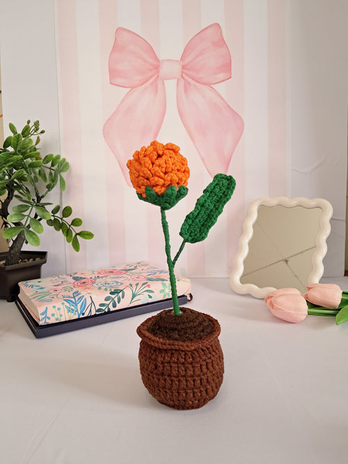 Crochet Flower Pot